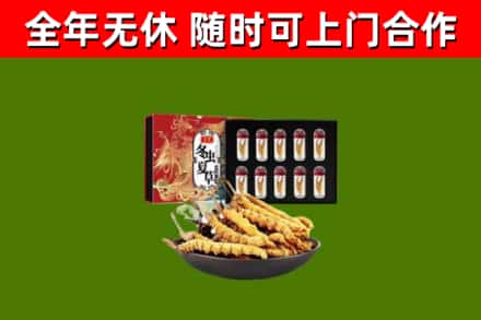 南汇区烟酒回收冬虫夏草礼盒.jpg