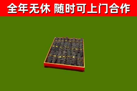 南汇区回收海参
